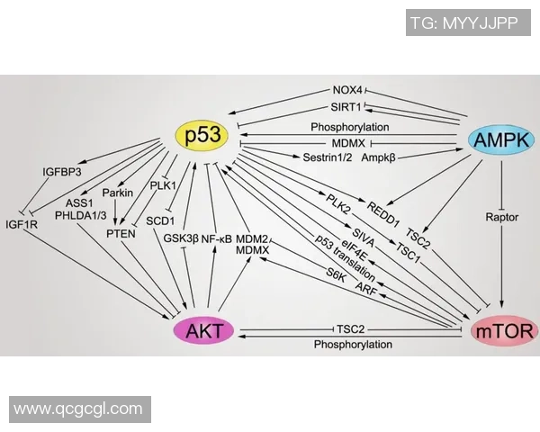 赵磊独家分享英雄联盟游戏心得与技巧提升之道